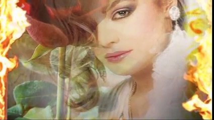 Bergen Canım Dediklerim Canımı Aldı.