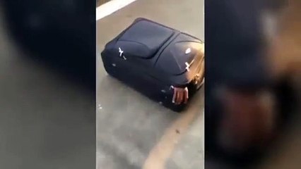 Des policiers suisses trouvent un migrant caché dans une valise !