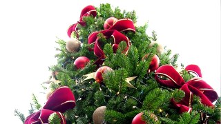 It's a Christmas Tree! - Grant Rant #29