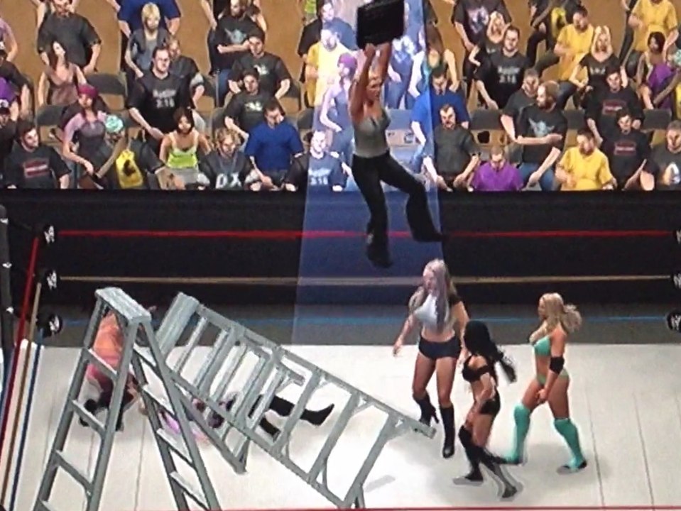 (WWE SIX DIVAS LADDER MATCH) GAIL KIM, MOLLY HOLLY, TORI, TORRIE WILSON, STACY KEIBLER, & VICTORIA.