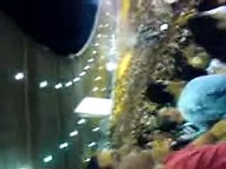 24/08/08 - Botafogo x Vasco - Torcida do Botafogo