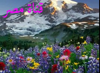 070 تلاوة سورة المعارج للشيخ محمود عبد الوهاب