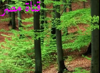 092 تلاوة سورة الليل للشيخ محمود عبد الوهاب