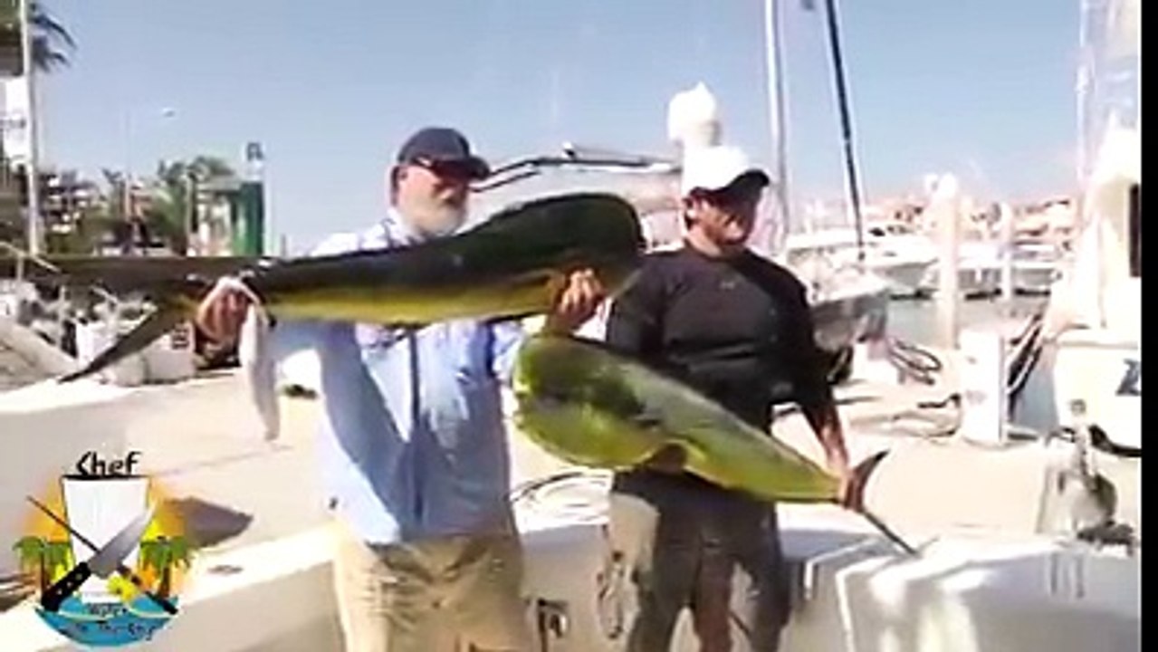 Amazing-Videos-fbdown.net_25