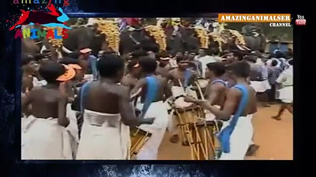 Angry elephant claimed 18 LIves in India