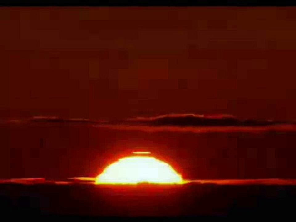 Terre Agissons 2