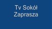 Tv Sokół - Falco Peregrinus Warszawa PkiN 13.08.2011 g.23:03