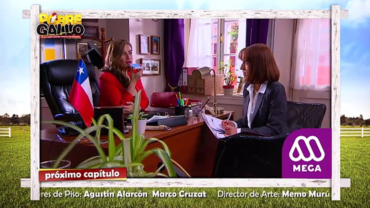 129 Avance Pobre Gallo