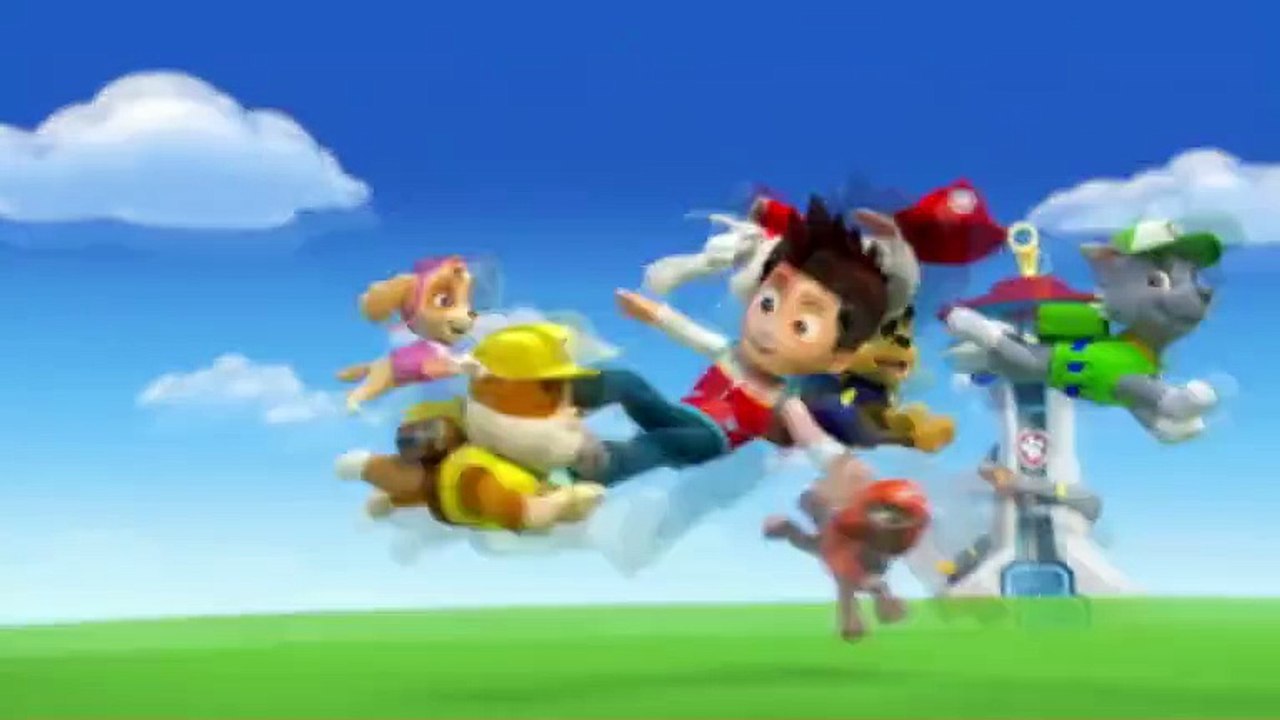 paw patrol