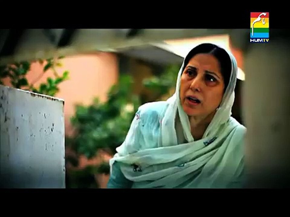 zindagi gulzar hai ost
