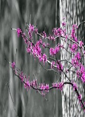 양방배팅 언오버양방 SuperCar123.Com 가입코드6623 BET365가상축구