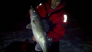 Yan's 31 inch Walleye on the ottawa river (Feb 17/2011)
