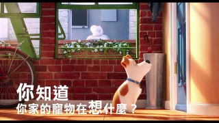 【寵物當家】可愛廣告-6月29日 歡樂登場
