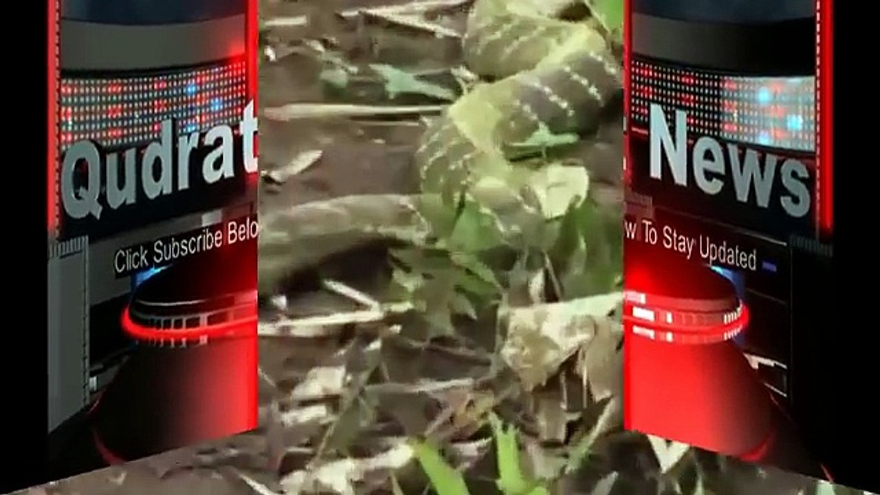 Allah ki Qudrat - Allah ki Qudrat ka karishma Qudrat news 2016 -