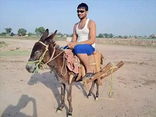 very very Funny By Punjabi Totay