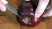 Rhona Silver - How to Make an Apple Swan