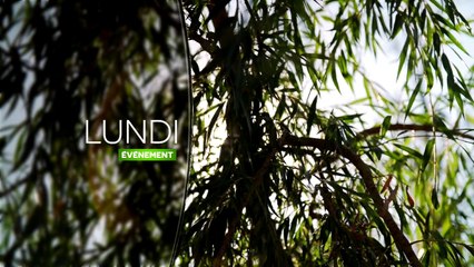 L'Amour est dans le Pré reprend, lundi 11 juillet sur M6