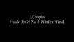 F.Chopin   Etude Op.25 No.11 Winter Wind
