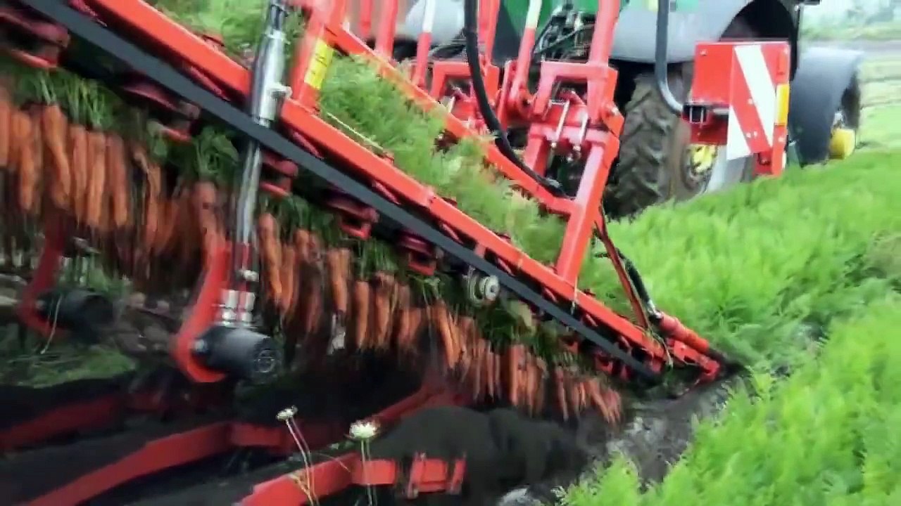 The Most Satisfying Video In The World 2