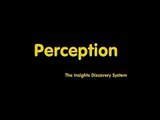 2 of 6 Perception within the Insights Discovery System