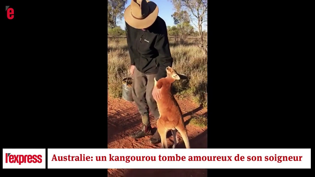 C'est trop beau !!!