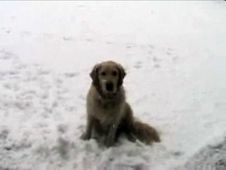 NEVE 27 GENNAIO 2006