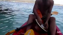 Des macaques opportunistes s s’incrustent dans un bateau de touristes afin de boire et manger