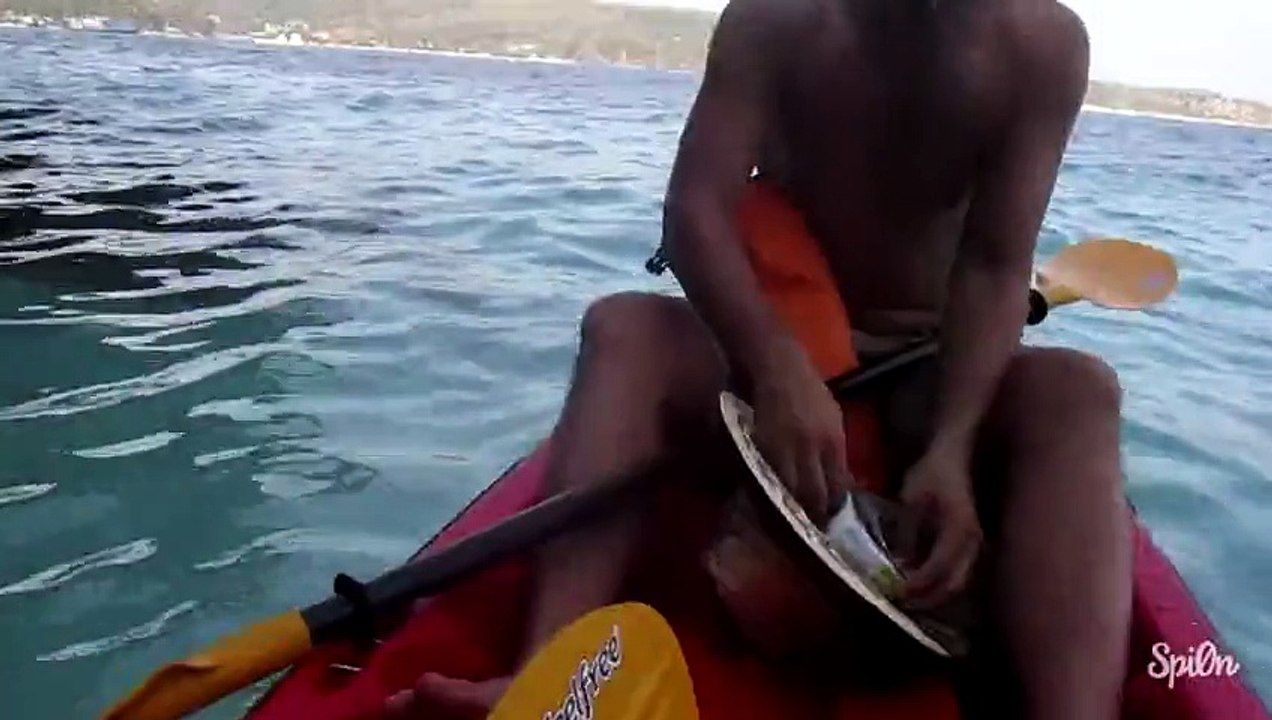 Des macaques opportunistes s s’incrustent dans un bateau de touristes afin de boire et manger