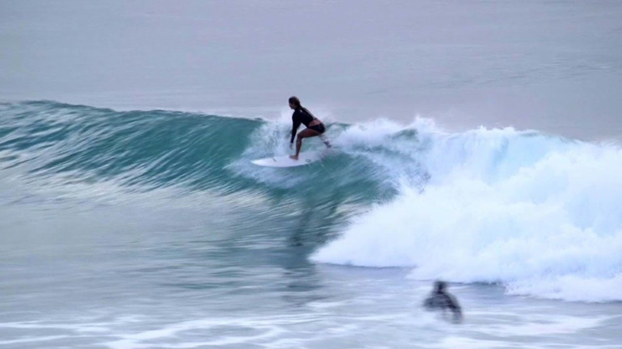 L'Australie, haut lieu du surf, a peur des dents de la mer