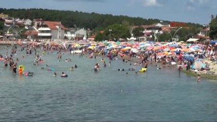 Kocaeli Kandıra Sahilleri Doldu