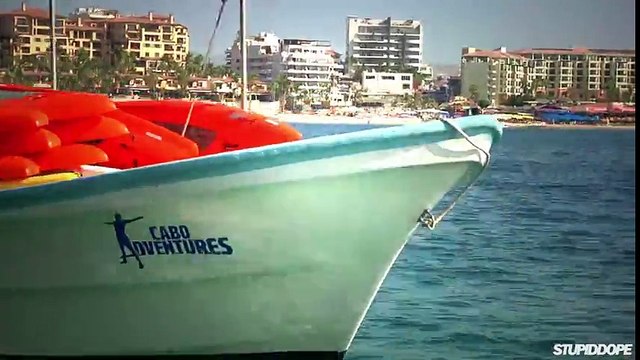 Exploring marine life in Cabo San Lucas, Mexico