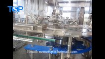 Automatic 3 in 1 pure mineral water bottling plant