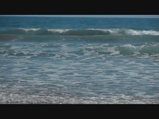 Location maison appartement Fouesnant (29170) particulier gîte un bon plan bon coin en Juillet Août Septembre