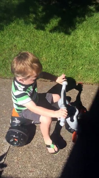 German Shepherd instinctively herds toddler on bike