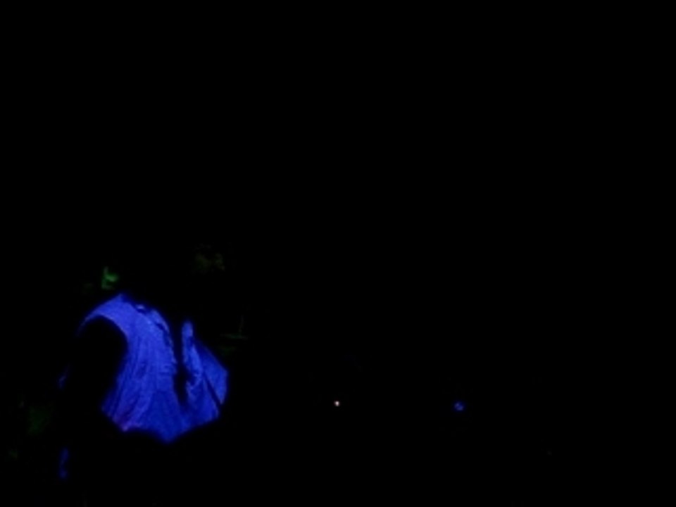 MOV02151