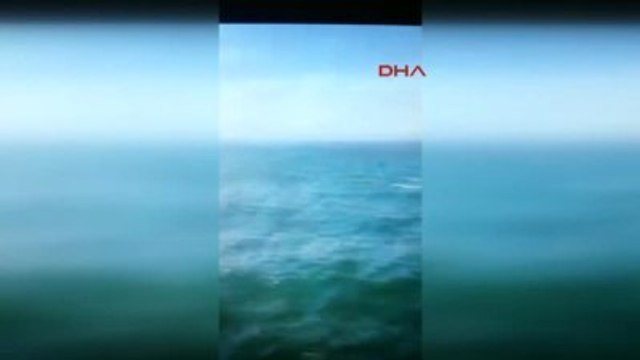 Kocaeli - Yunusu Ateş Ederek Öldürdüler