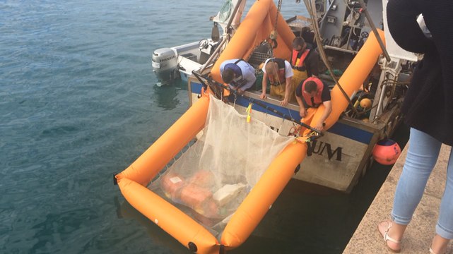 Les déchets plastiques collectés en mer