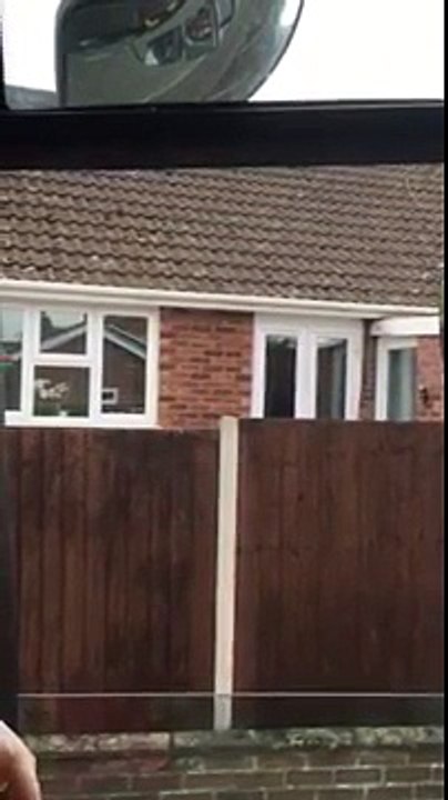 Funny bouncing dog jumps to see over fence