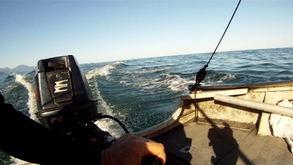 Mares de Ubatuba, SP, Brasil, Litoral Norte, julho, 2016, (1)