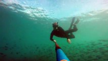 GoPro captures mesmerizing underwater experience