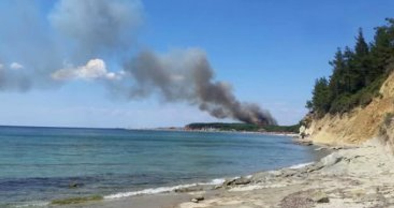 Şehitliklerin Bulunduğu Tarihi Gelibolu Yarımadası'nda Orman Yangını