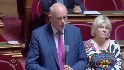QAG de Richard Yung du 7 juillet 2016