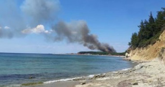 Şehitliklerin Bulunduğu Tarihi Gelibolu Yarımadası'nda Orman Yangını