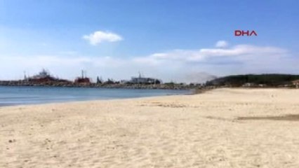 Çanakkale'de Şehitliklerin Bulunduğu Tarihi Gelibolu Yarımadası'nda Orman Yangını 6