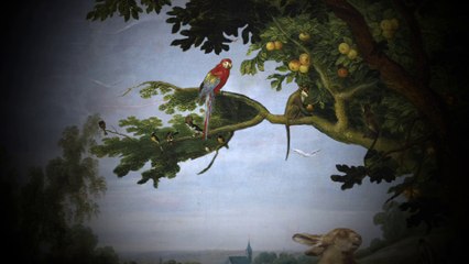 L'Odyssée des animaux (teaser)