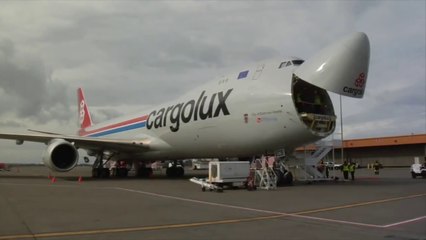 Cargolux Freighter Aircraft Boeing 747-8
