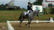 Équitation : 17ème concours complet international (Vendée)