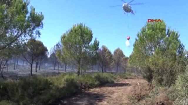 Çanakkale - Gelibolu Yarımadası'ndaki Orman Yangını Yangını Kontrol Altına Alındı