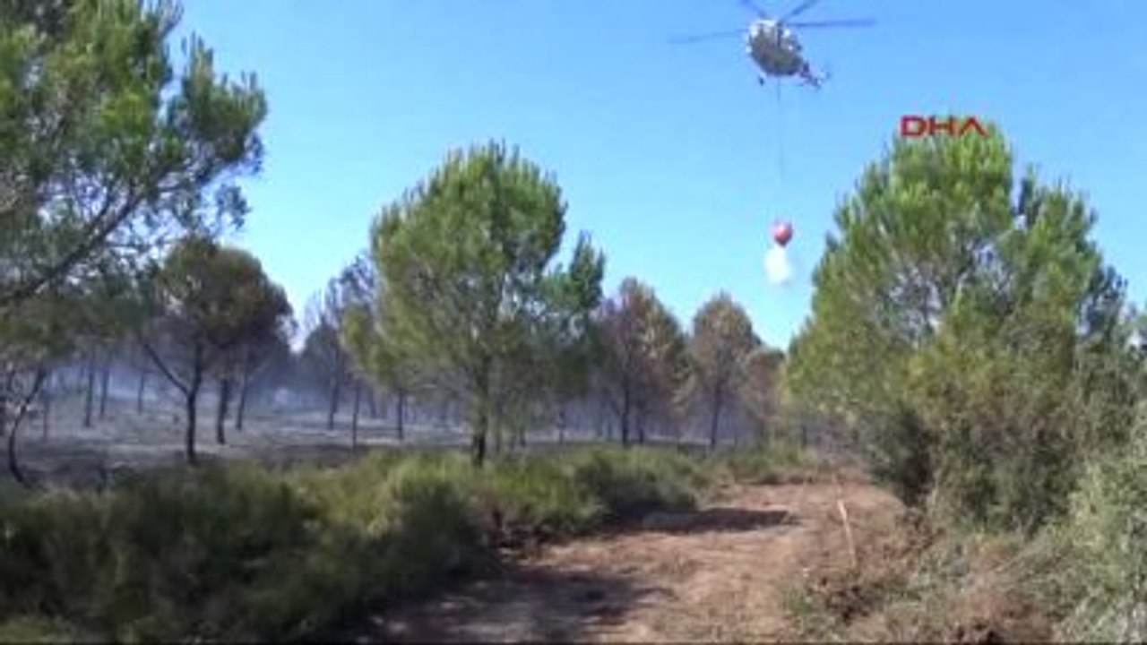 Çanakkale - Gelibolu Yarımadası'ndaki Orman Yangını Yangını Kontrol Altına Alındı