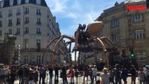 Nantes: une araignée géante se balade dans les rues de la ville